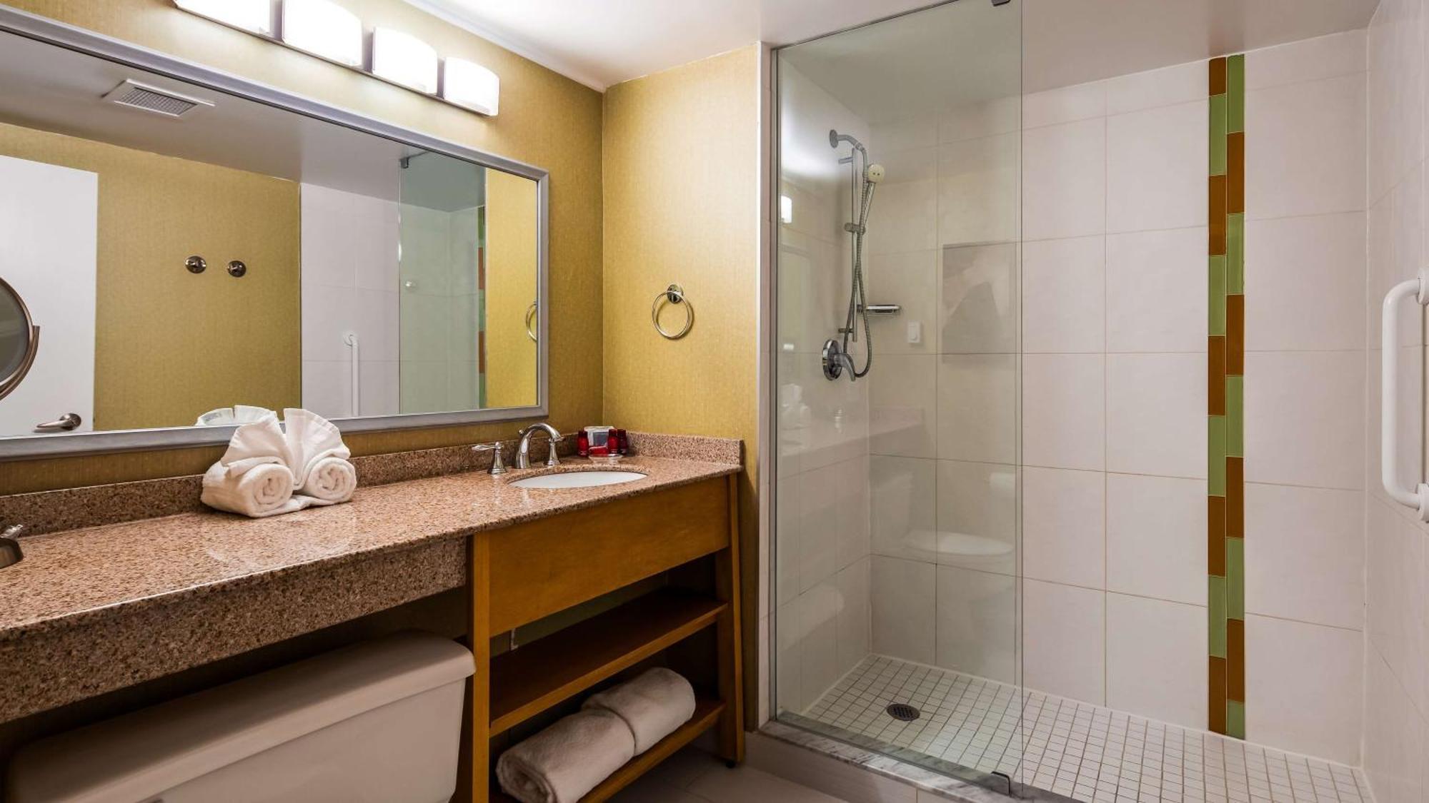 King Room - Non-Smoking/Shower Only,1282857034:JPEG